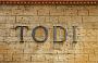 Todi
